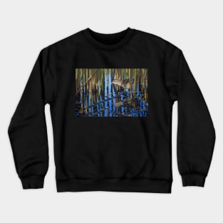 Little Crake Crewneck Sweatshirt